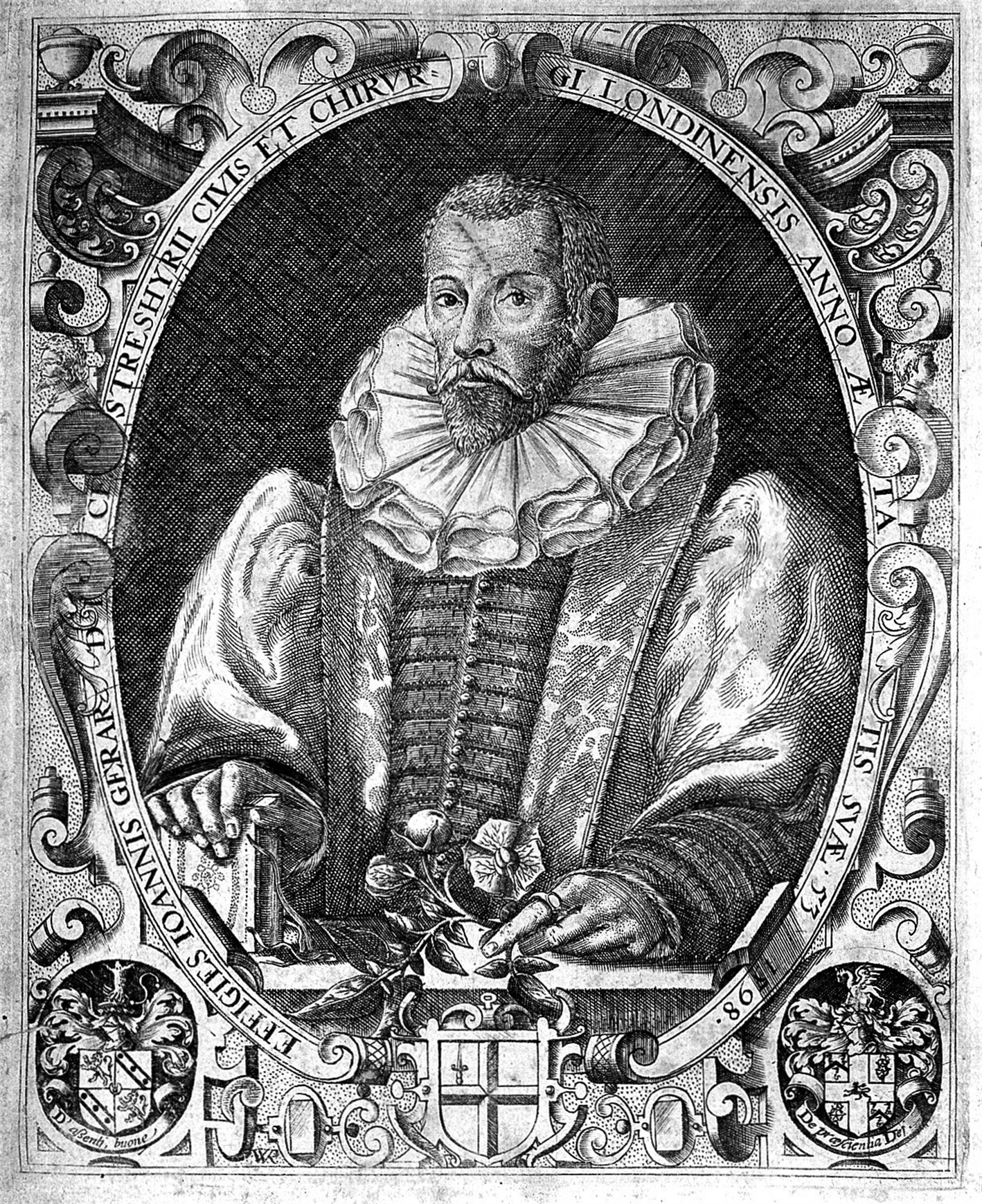 Гравюра с портретом Джона Джерарда (1545–1612) из первого издания "Травника".
