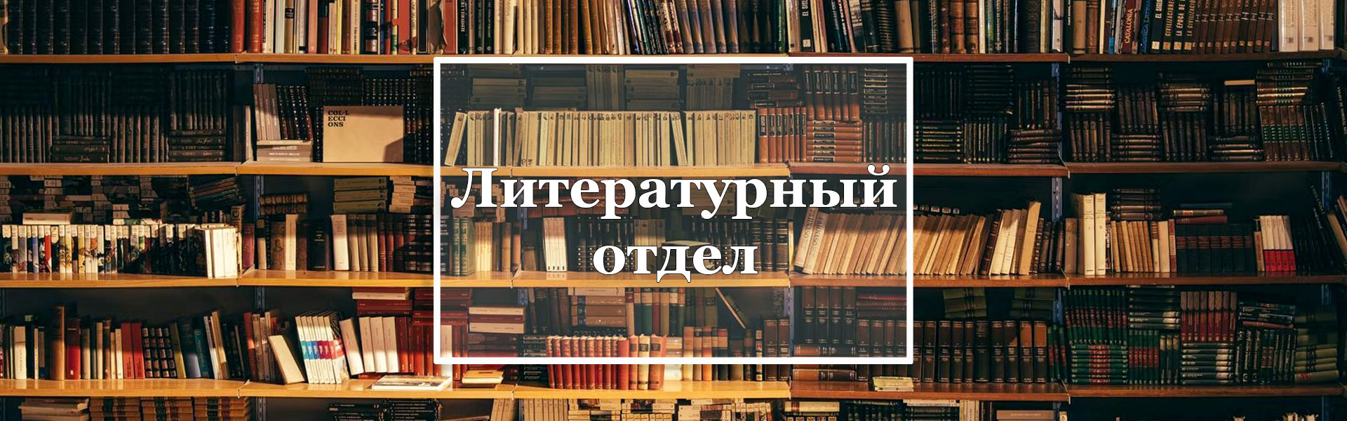 Раздел "Литературный отдел"