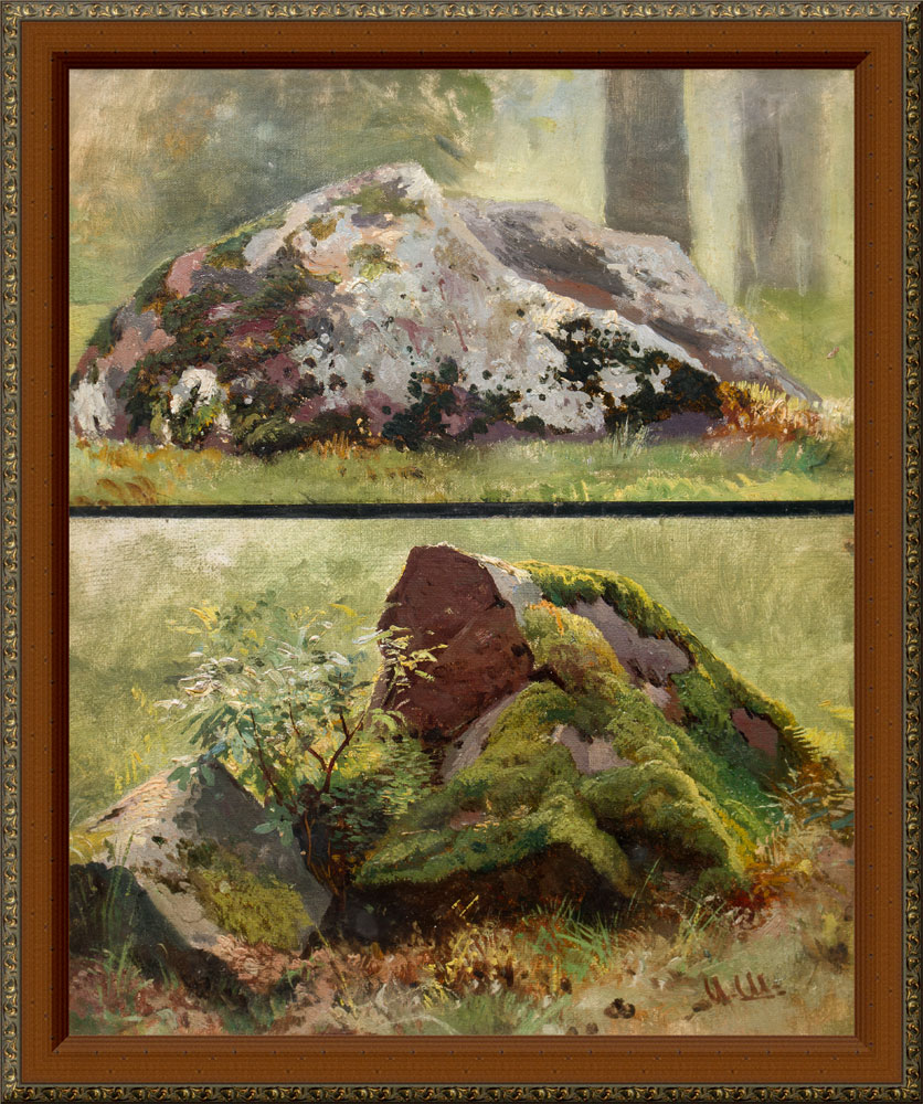 Пример 11. И. И. Шишкин. Камни. 1890-е.