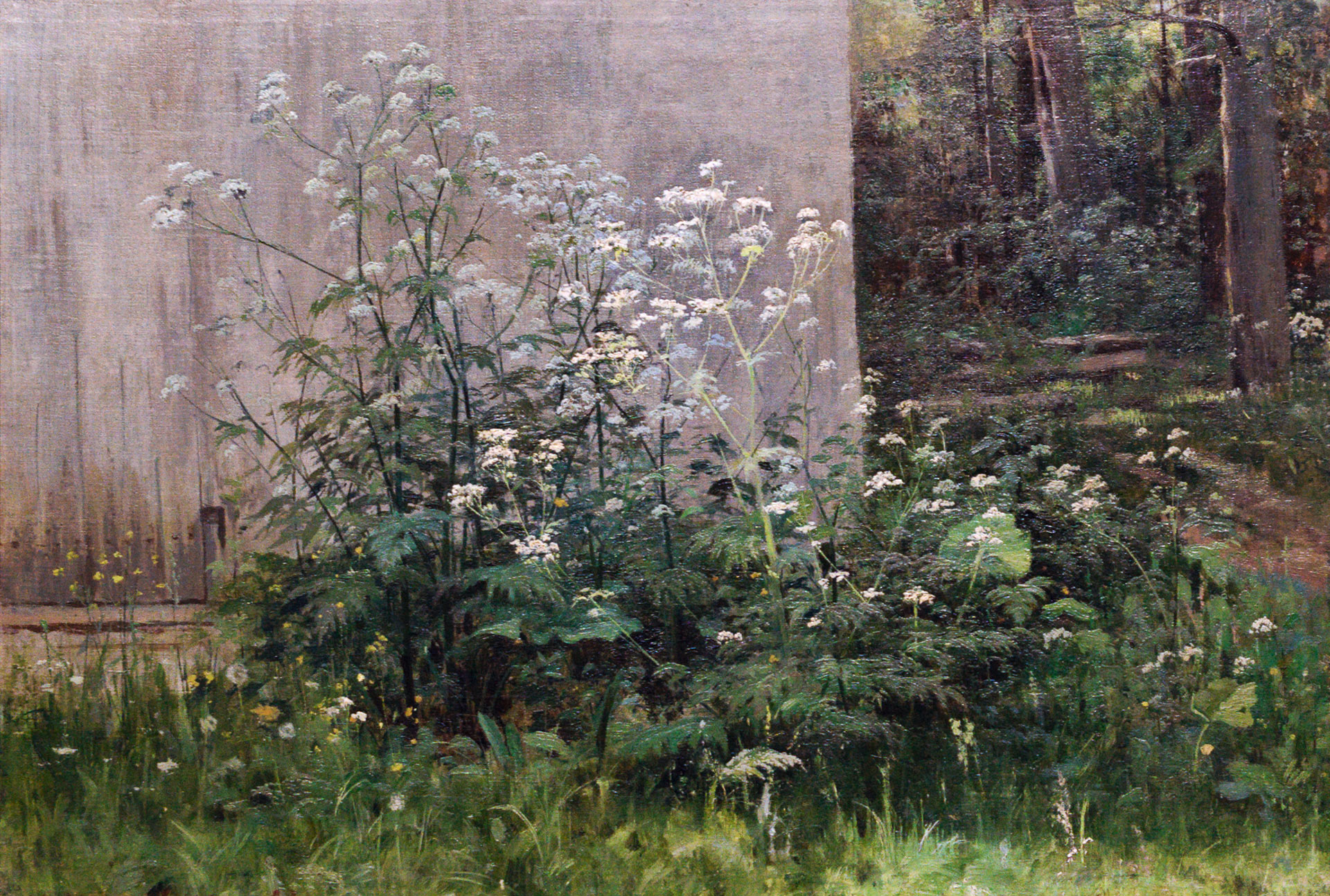 Пример 10. И. И. Шишкин. «Цветы у забора». 1884.